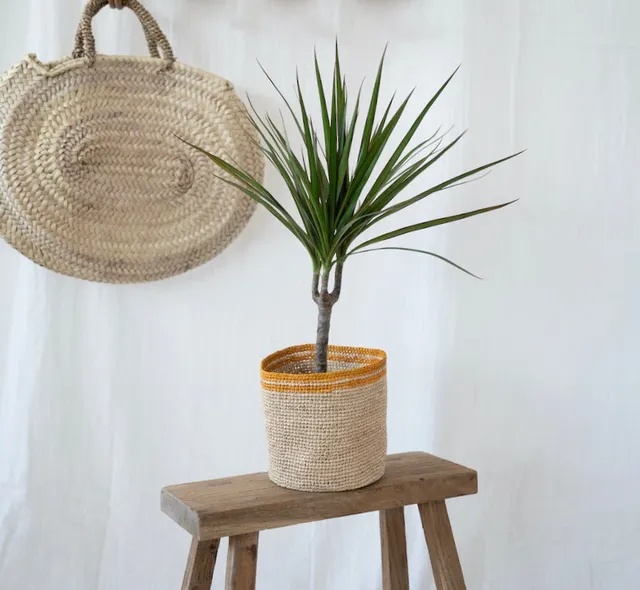 Flowrette Décoration cache-pot Maho raphia 9cm fait main