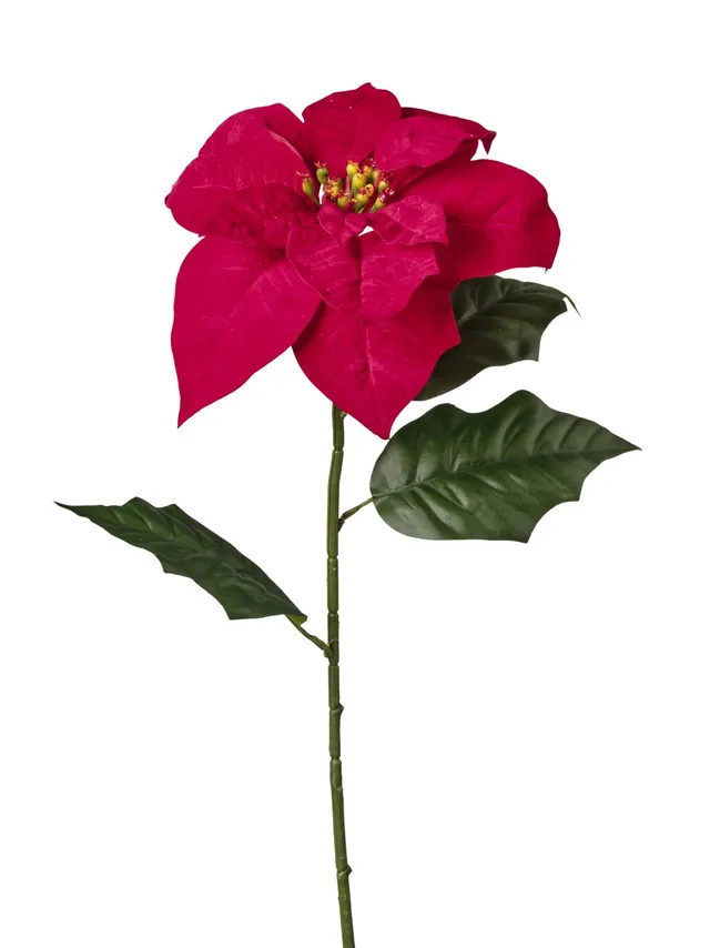Feuillazur Rungis Produits de saison 6 tiges poinsettia fleur artificielle rouge