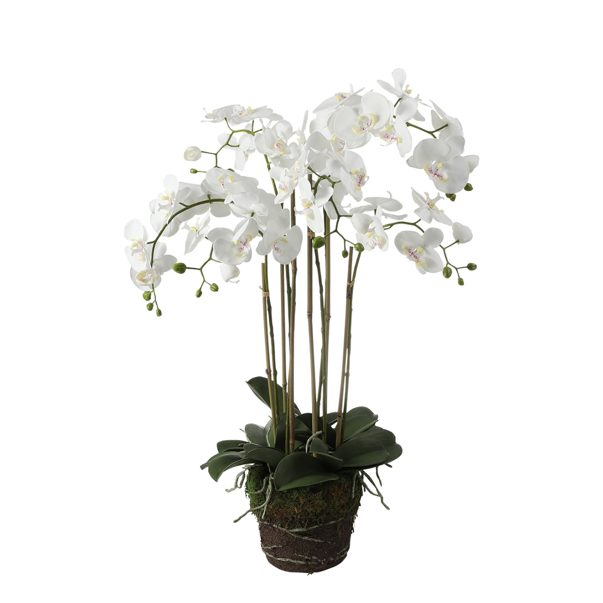 Sia orchidée artificielle terre 85 cm blanc
