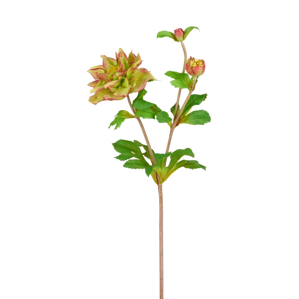 Sia Home Helleborus Niger tige fleur rose 49 cm