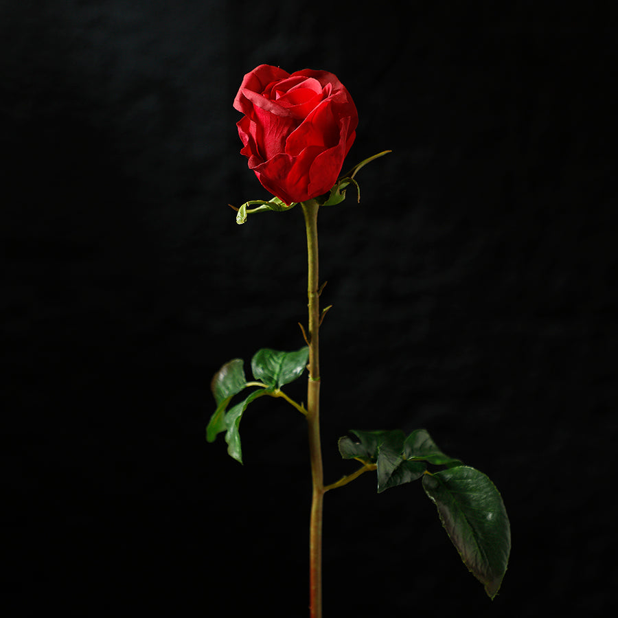 Sia Home Dutchess tige rose 50 cm rouge premium