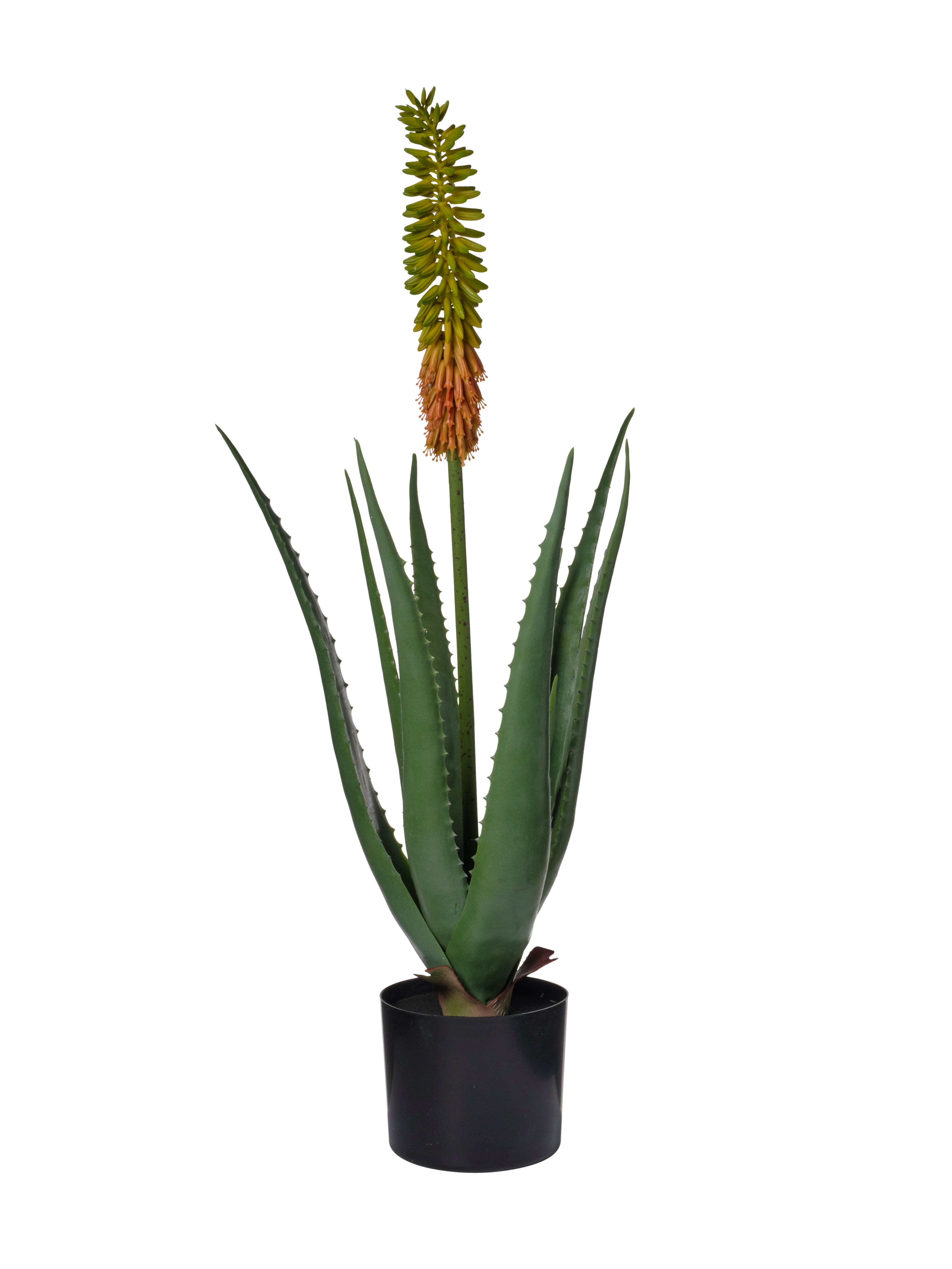 Feuillazur Rungis Aloe Vera plante artificielle vert/jaune 85cm