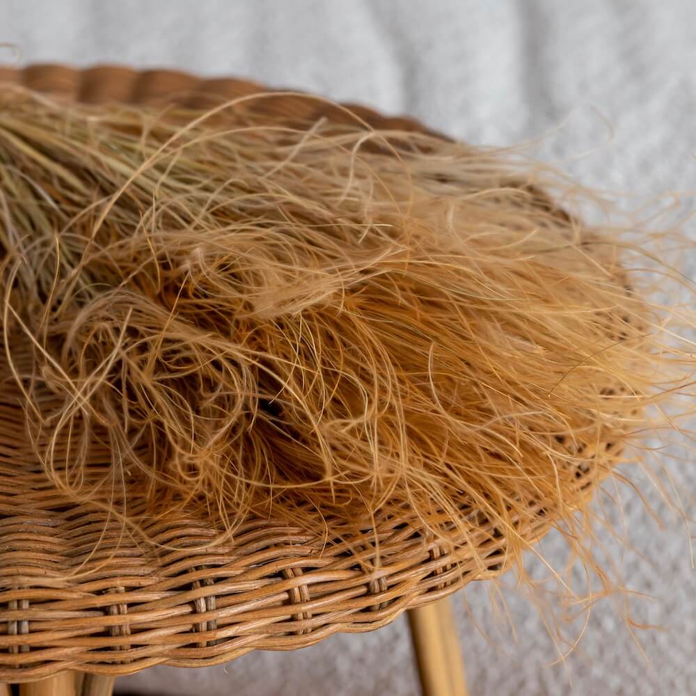 Flowrette Stipa Terracotta botte fleurs séchées x1 terracotta