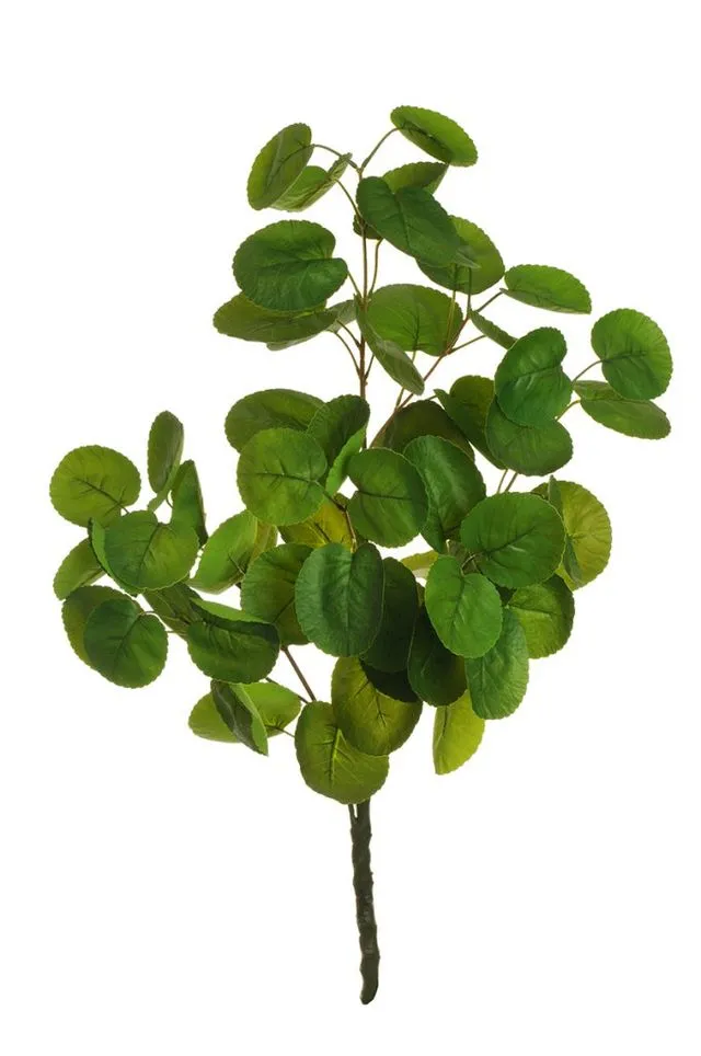 Feuillazur Rungis Polyscias artificiel vert 100cm feuillage