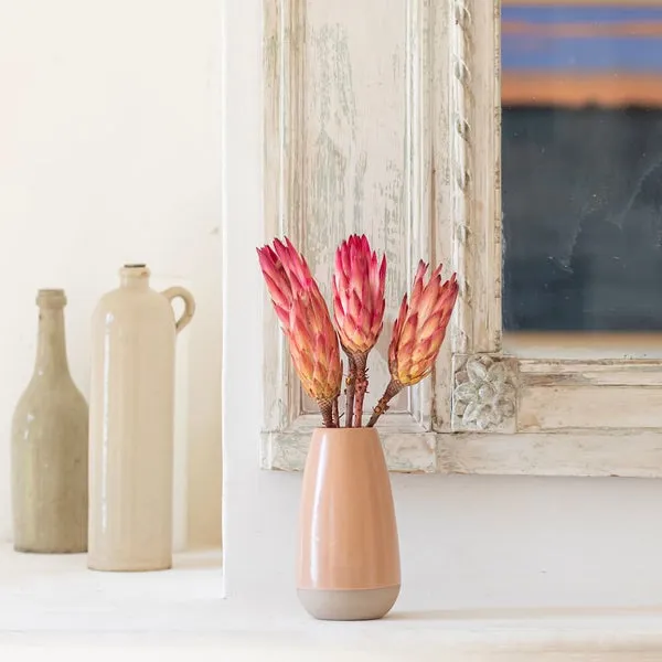 Flowrette botte 5 proteas stabilisés exotique