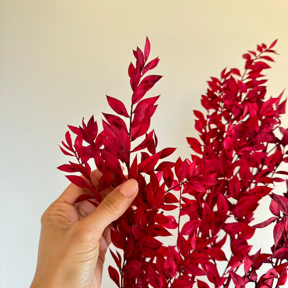 Flowrette Ruscus rouge botte séchée x1