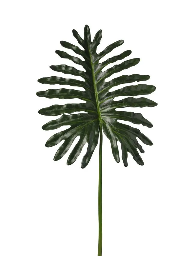 Feuillazur Rungis Philodendron 46x107cm feuillage vert