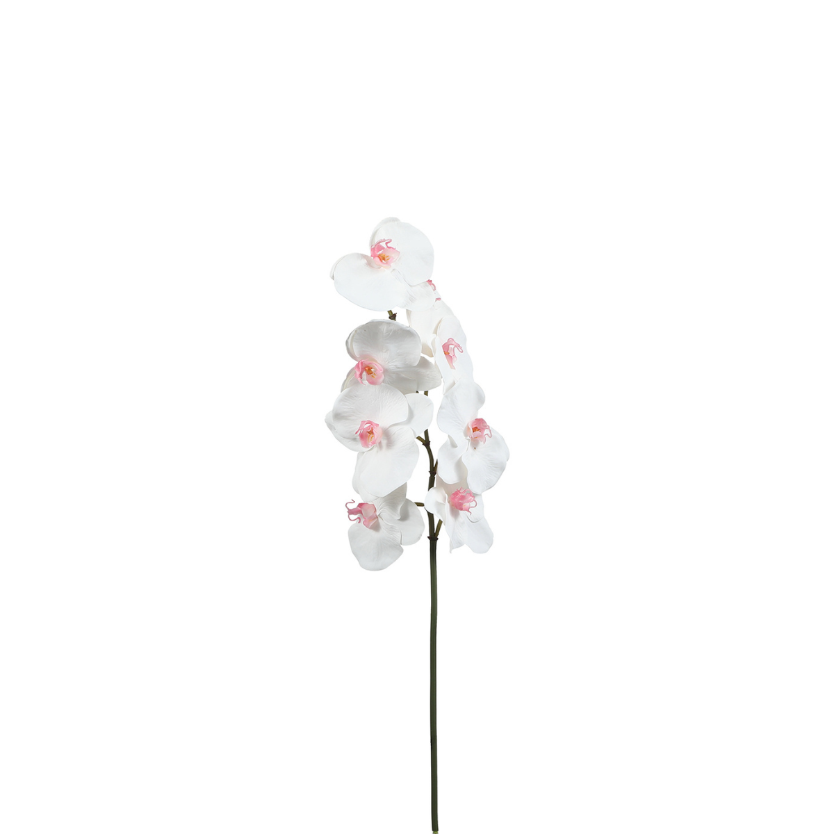Sia Home Orchidée Phalaenopsis 60 cm tige artificielle blanc