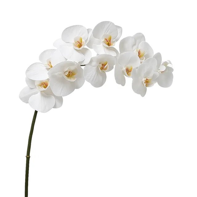 Sia tige orchidée artificielle blanche 100 cm premium