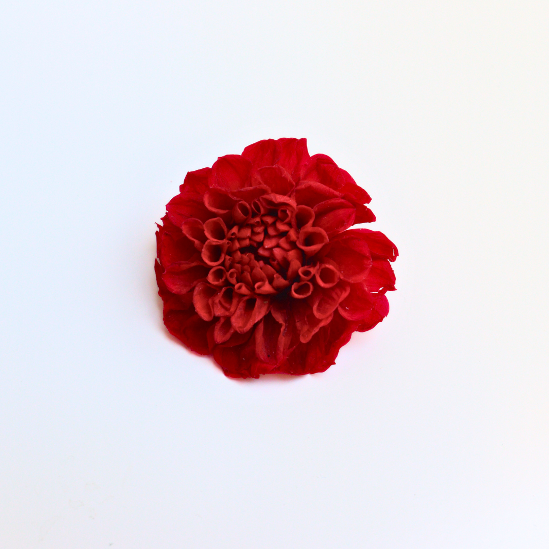 Ateliers Ouchamp Place de Breteuil barrette fuchsia dahlia 5 cm