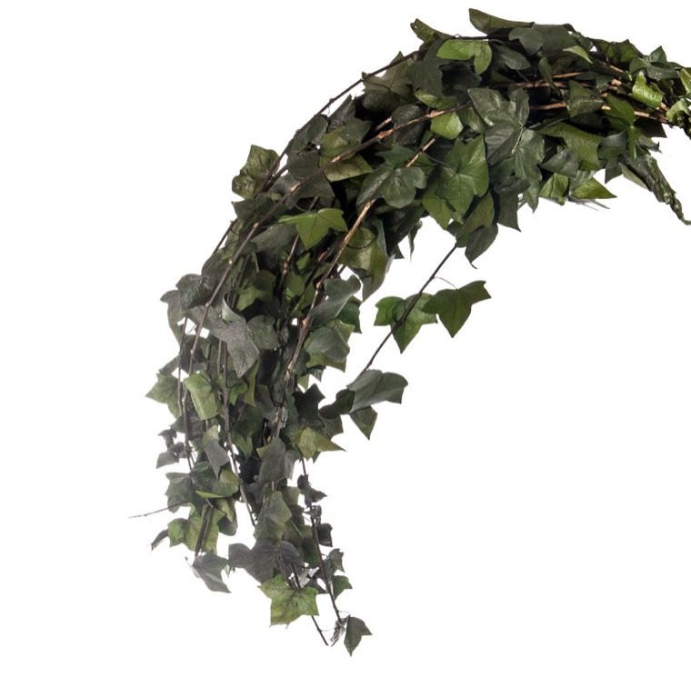 Feuillazur Rungis Hedera retombant stabilisé vert 80 cm