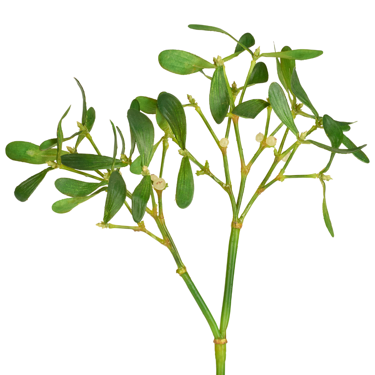 Sia Home Feuillage de Gui artificiel vert 68 cm baies blanches