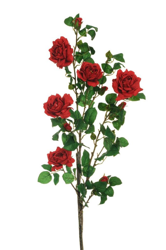 Feuillazur Rungis Rose de jardin sur tige saumon 103 cm