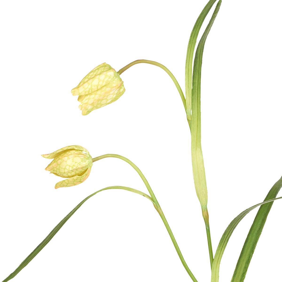 Sia Home Fritillaria tige fleur artificielle rouge 70 cm
