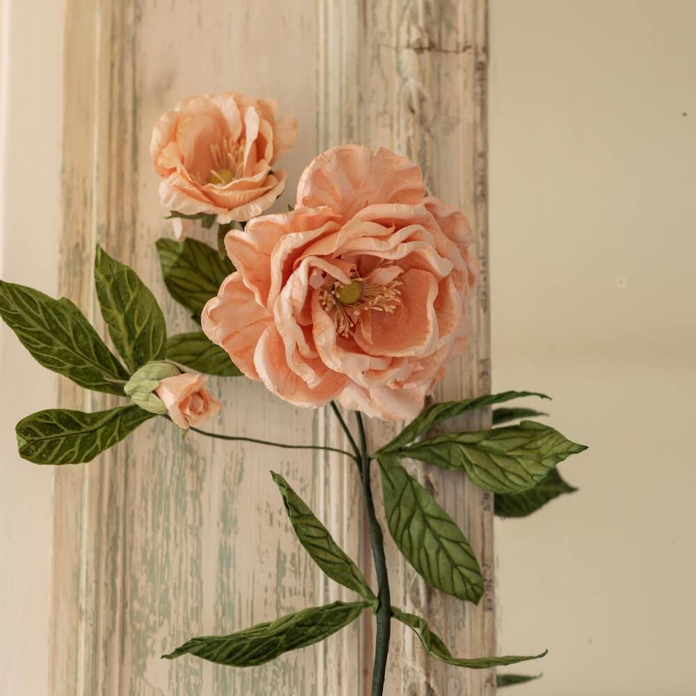 Flowrette Caroline rose papier abricot tige x1 éternelle