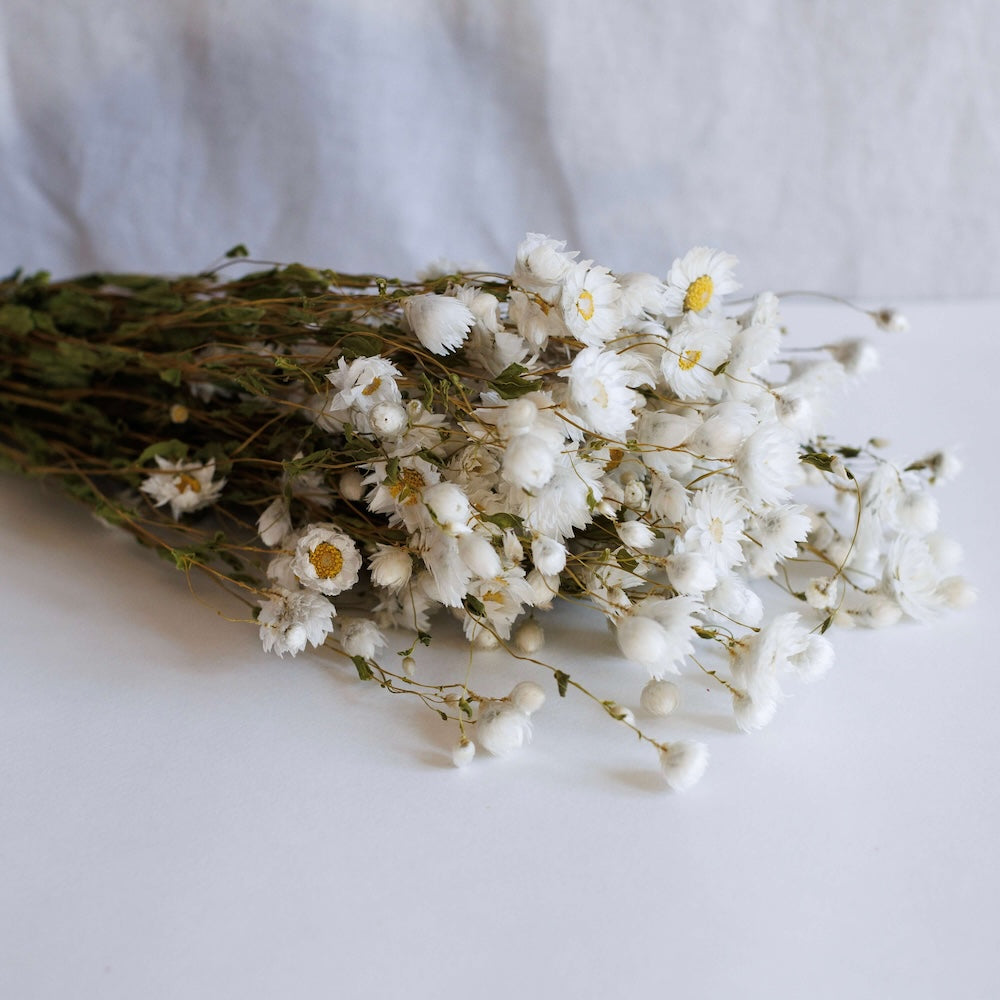 Flowrette Rhodante blanc botte fleurs séchées x1