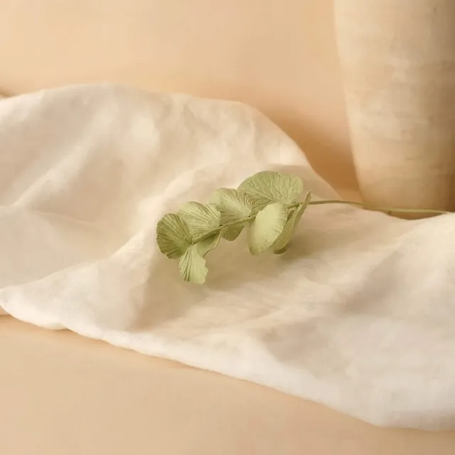 Flowrette Eucalyptus cinerea papier vert olive x1