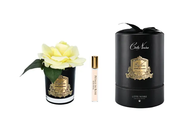 Côte Noire French Rose RMRB08 fleur parfumée jaune vase noir