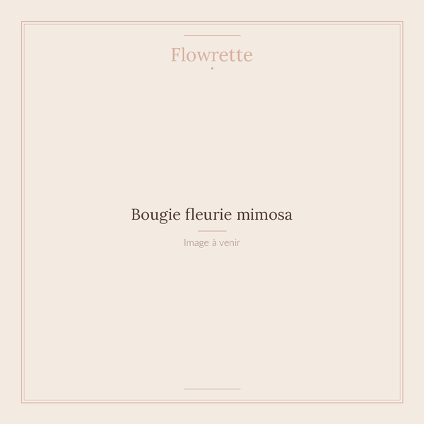 Flowrette Mimosa bougie parfumée cire soja pot céramique