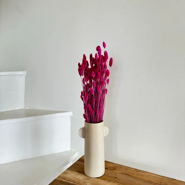 Flowrette botte phalaris magenta fleurs séchées