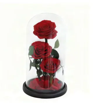 Feuillazur Rungis Trio roses stabilisées sous cloche rouge 17x32 cm