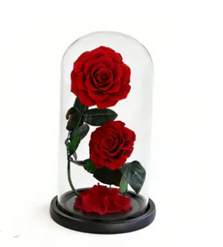 Feuillazur Rungis Duo sous cloche roses stabilisées rouge 17x32 cm