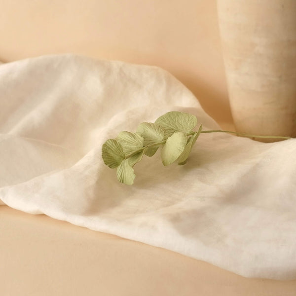 Flowrette Fleurs en papier eucalyptus cinerea vert olive