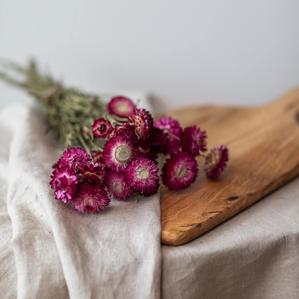 Flowrette Helichrysum rose botte fleurs séchées x1 immortelle