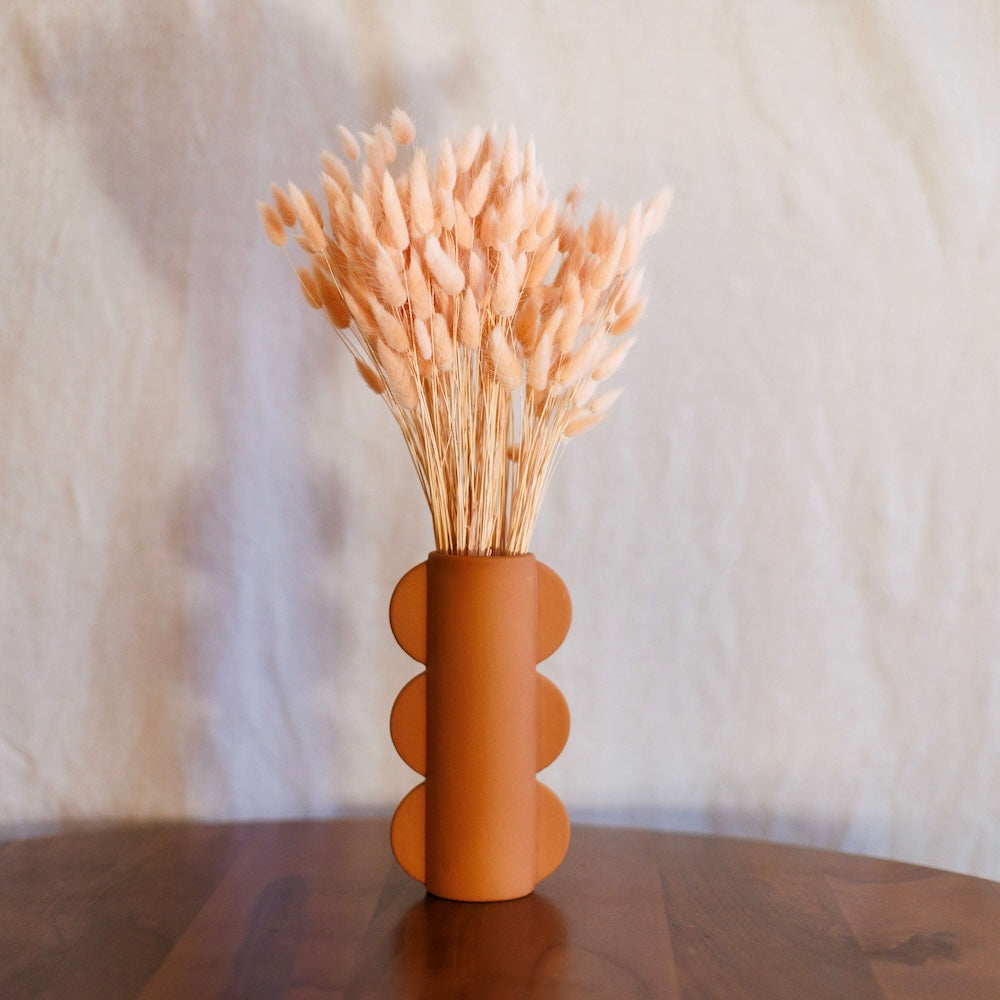 Flowrette Lagurus pêche botte fleurs séchées x1 duveteux