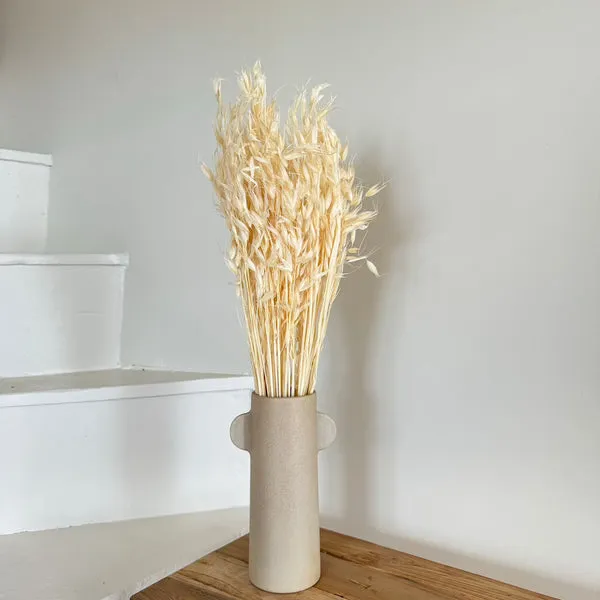 Flowrette Fleurs Séchées Avoine Blanche bouquet sec blanc