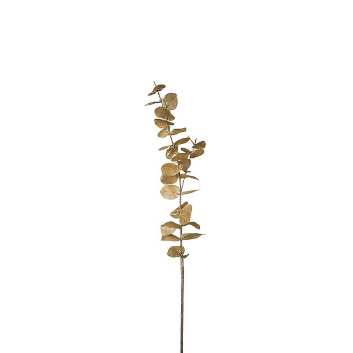 Sia Home Feuillage Eucalyptus 90cm artificiel doré