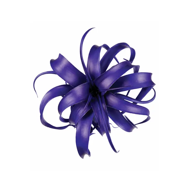 Sia Home tillandsia tige à piquer feuillage bleu 27 cm