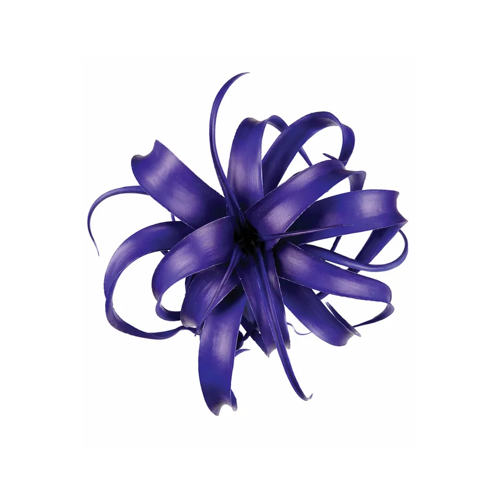 Sia Home tillandsia tige à piquer feuillage bleu 27 cm