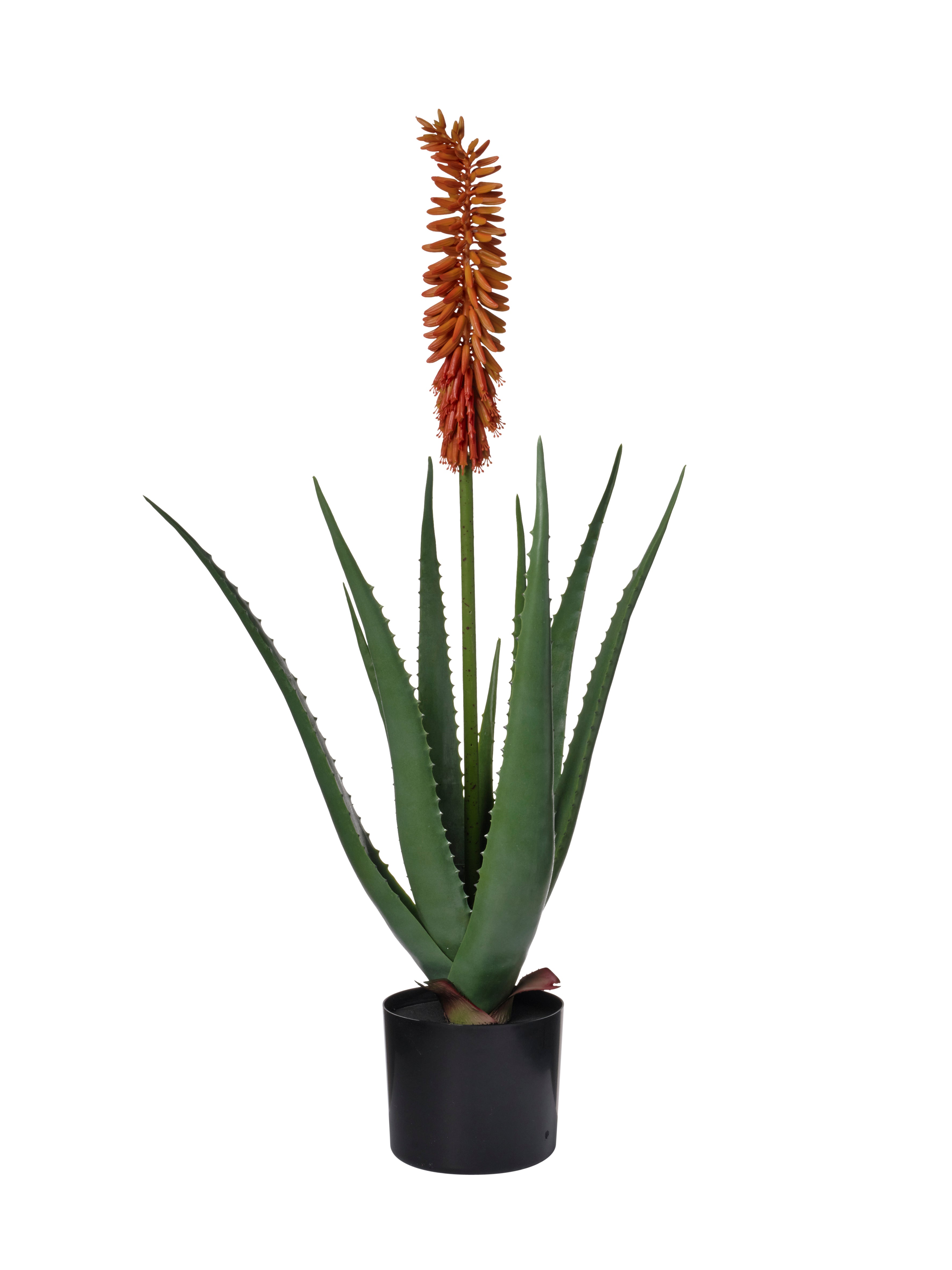 Feuillazur Rungis Aloe Vera plante artificielle vert/jaune 85cm