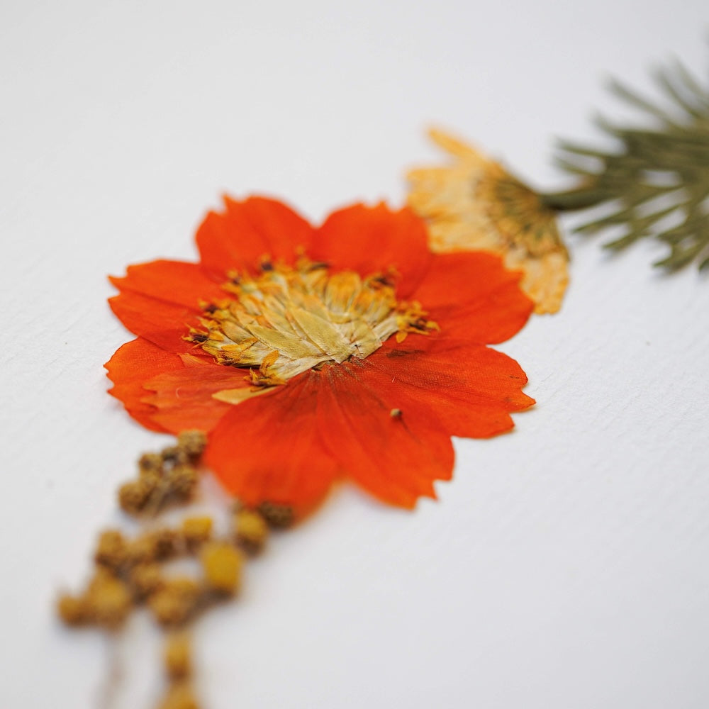 Flowrette Herbier Chant du Jardin A4 fleurs pressées fait main