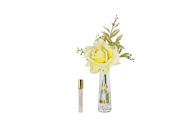Côte Noire Summer Roses SRG08 bouquet jaune doré parfumé