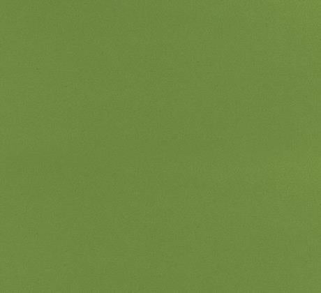 Feuillazur Rungis Moquette Vert olive décorative 1m