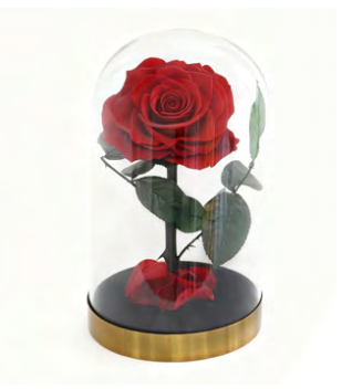 Feuillazur Rungis rose stabilisée sous cloche rouge 14x23 cm
