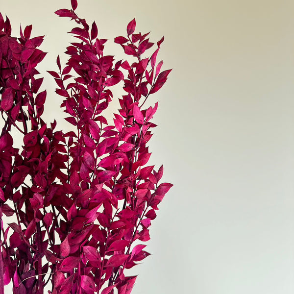 Flowrette Ruscus botte fleurs séchées magenta