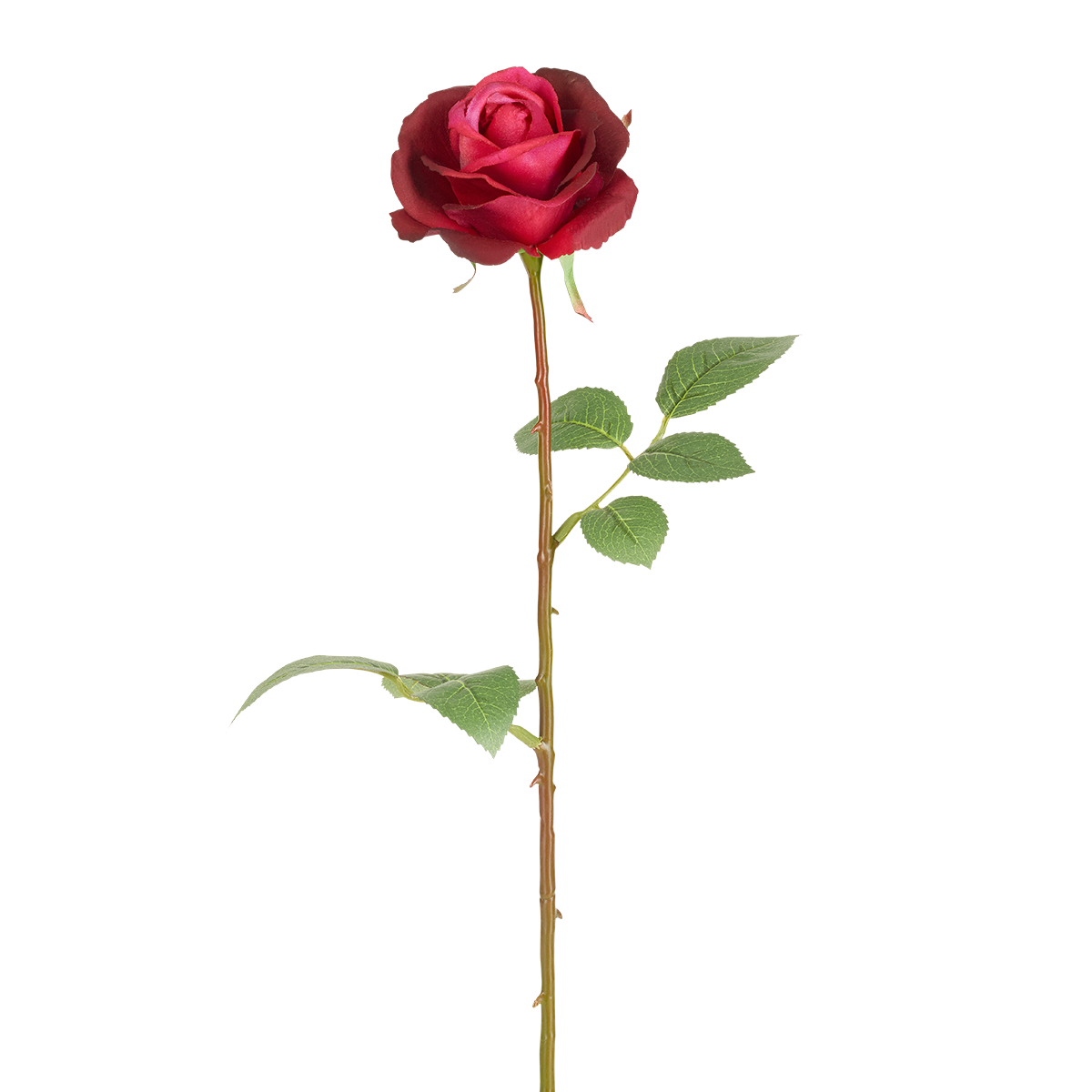 Sia Home Tiges de Fleurs artificielles Sophia rose 65 cm