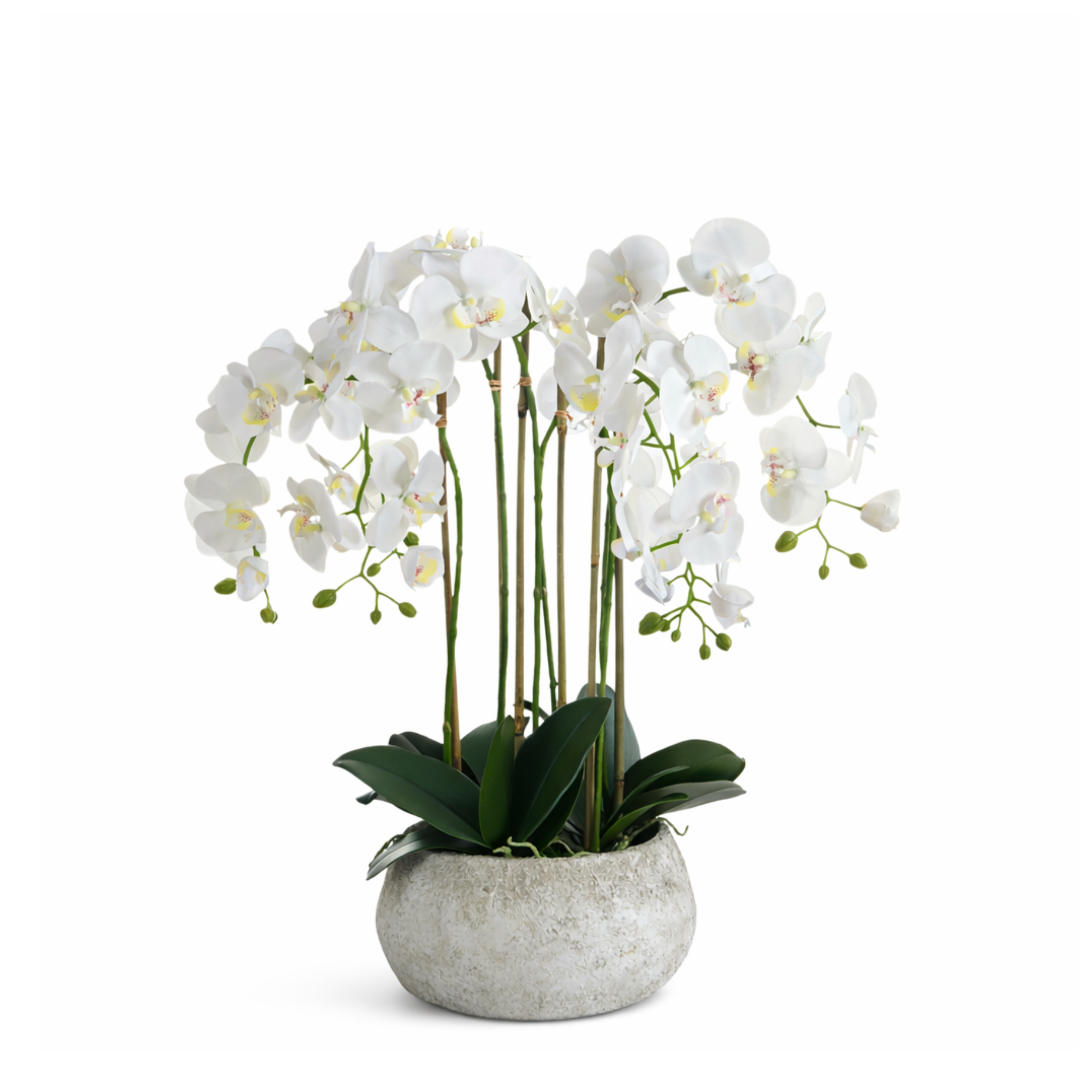 Sia Home Séréna orchidée artificielle blanc 70 cm pot