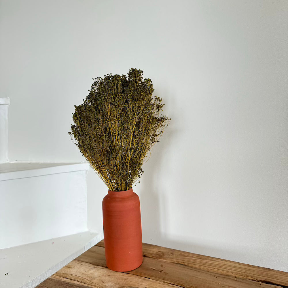 Flowrette Broom Bloom vert olive fleurs séchées botte x1