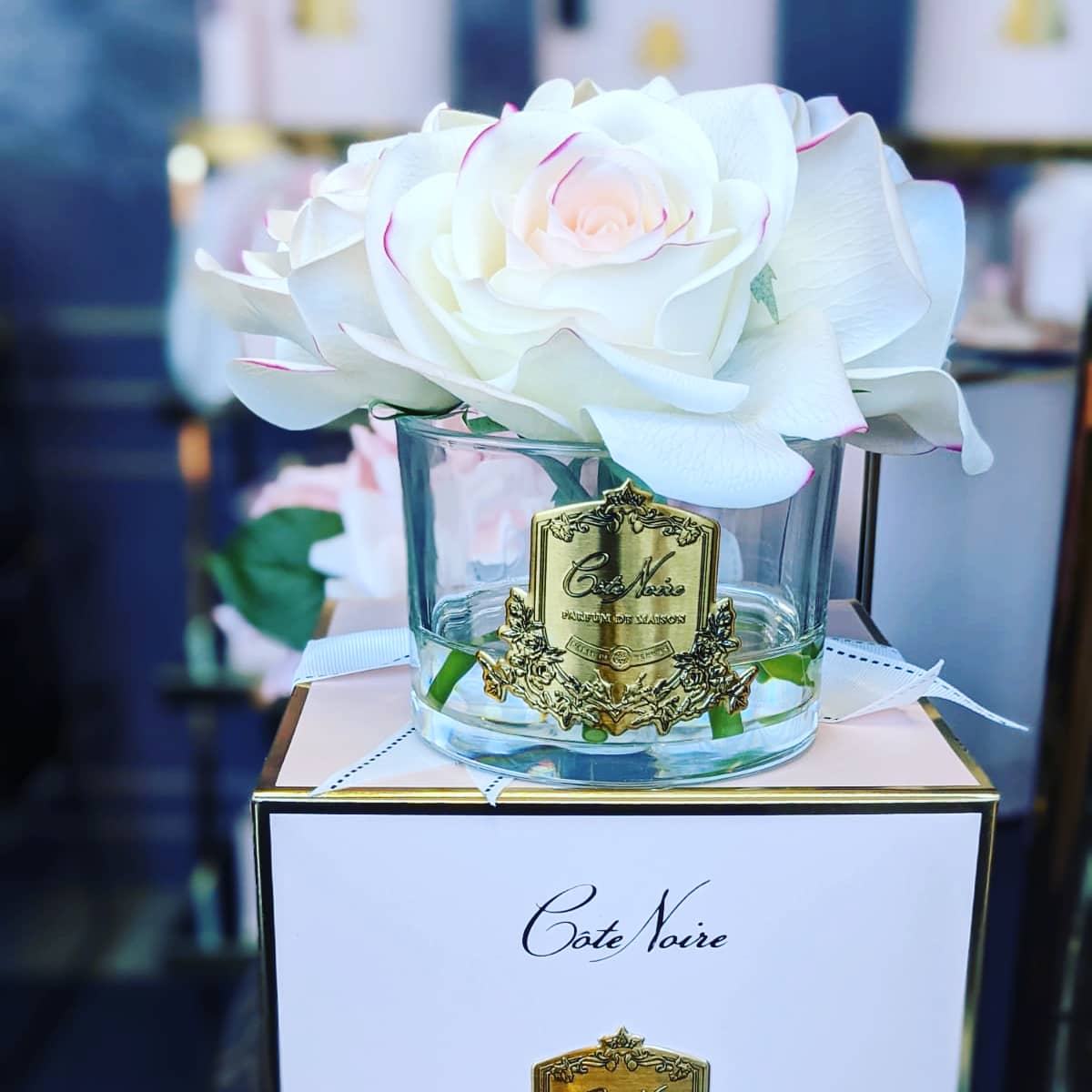 Côte Noire Perfumed Flowers GMR88 5 roses rose coffret rose