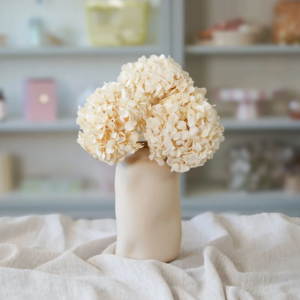 Flowrette Hortensia Blanc Stabilisé Fleur Volume Romantique