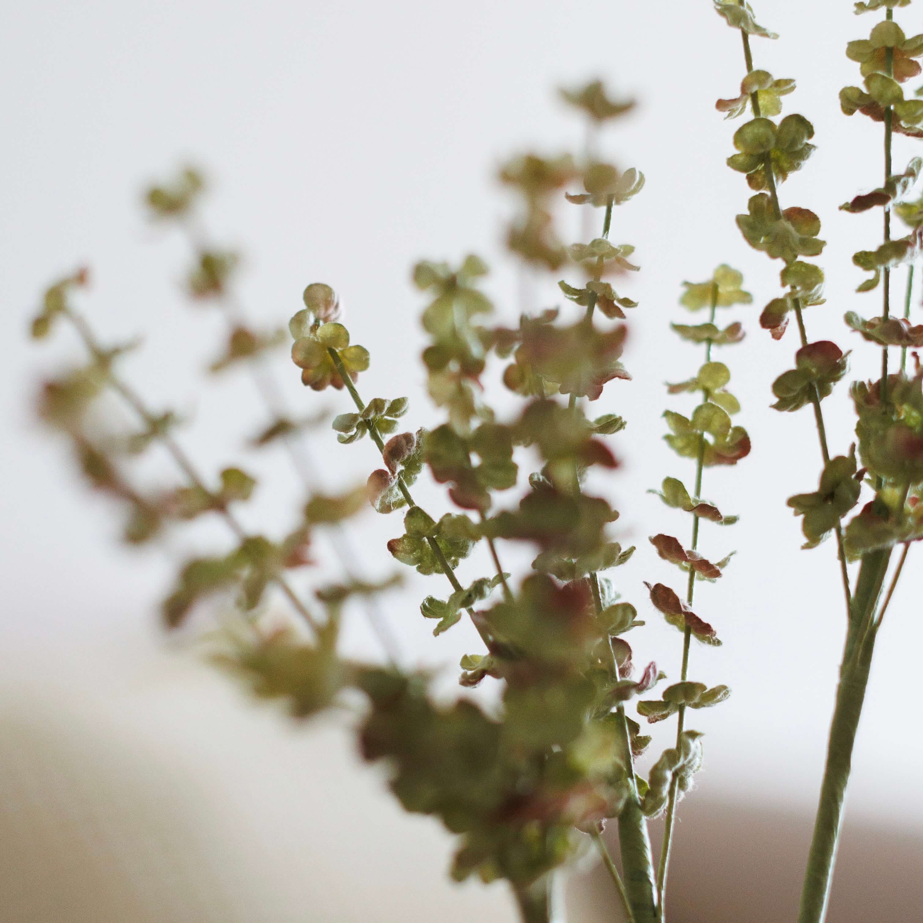 Flowrette Fleurs en papier Brins d'astilbe vert fleur x1 verdure