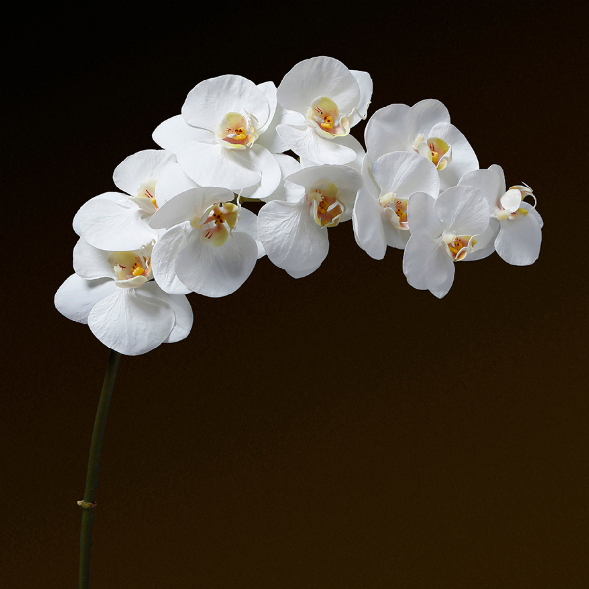 Sia tige orchidée artificielle blanche 100 cm premium