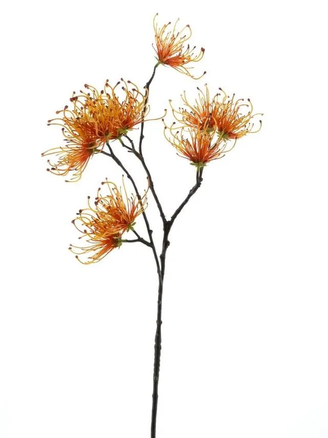 Feuillazur Rungis Spider fleur artificielle orange 70 cm
