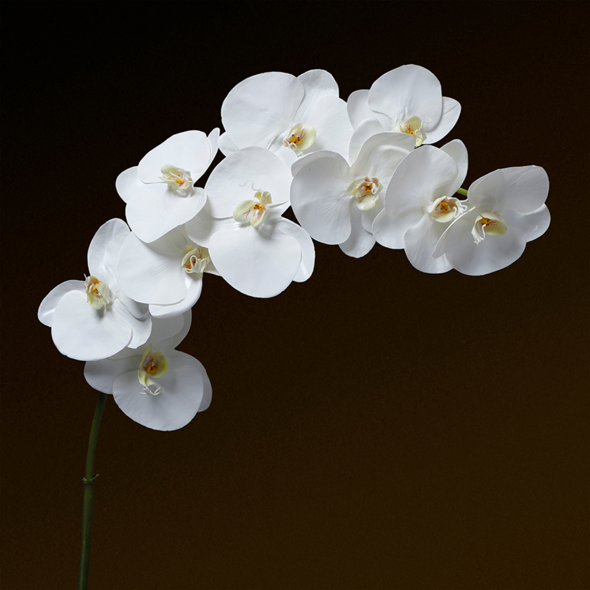 Sia Home Orchidée Premium tige artificielle blanche 86 cm