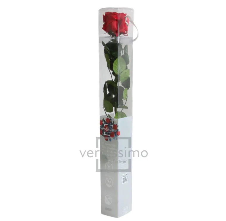 Feuillazur Rungis Séchés et Stabilisés rose stabilisée rouge 54 cm
