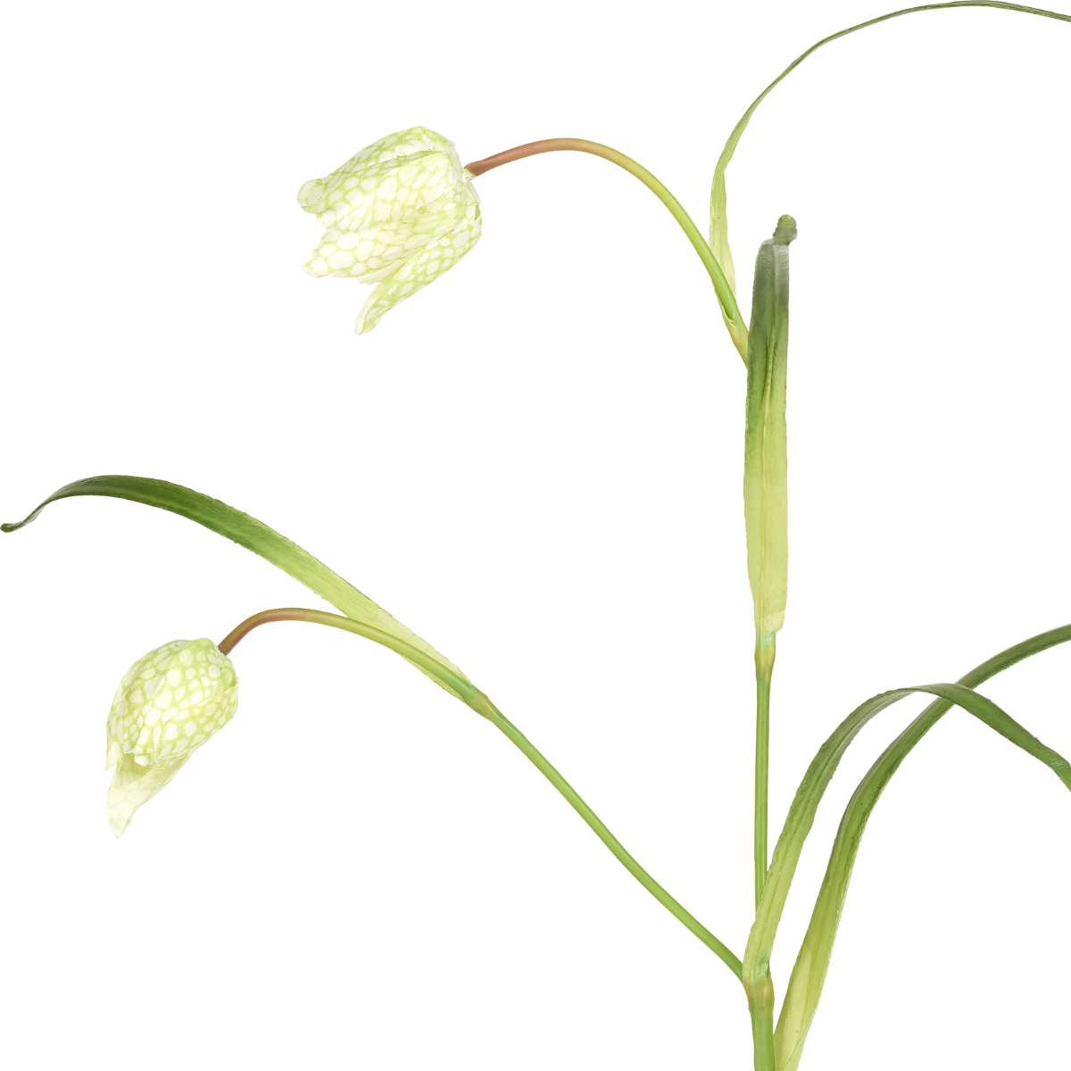 Sia Home Fritillaria tige fleur artificielle rouge 70 cm